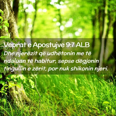 Picture 02 - Veprat e Apostujve 9:7 ALB - Dhe njerëzit që udhëtonin me të ndaluan të - Bible Verse Picture