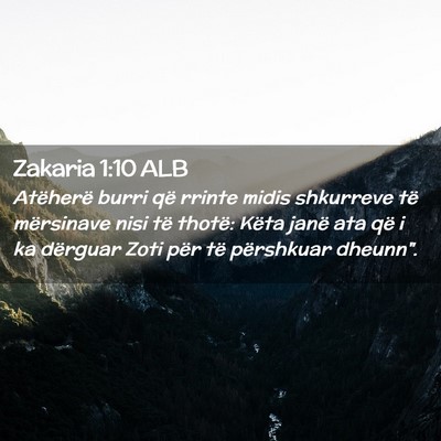 Picture 02 - Zakaria 1:10 ALB - Atëherë burri që rrinte midis shkurreve të - Bible Verse Picture