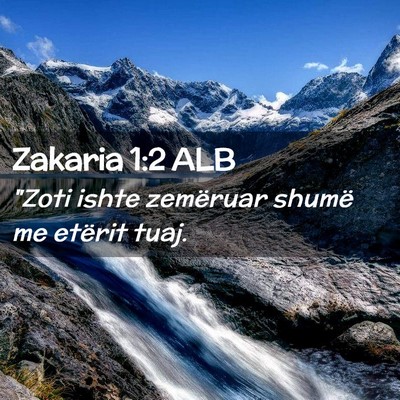 Picture 02 - Zakaria 1:2 ALB - 