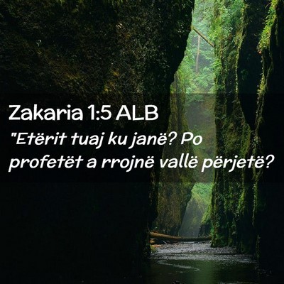 Picture 02 - Zakaria 1:5 ALB - 
