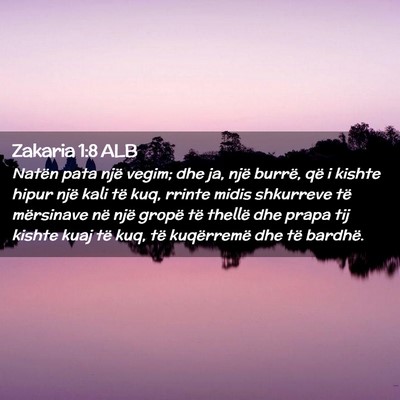 Picture 02 - Zakaria 1:8 ALB - Natën pata një vegim; dhe ja, një burrë, që - Bible Verse Picture