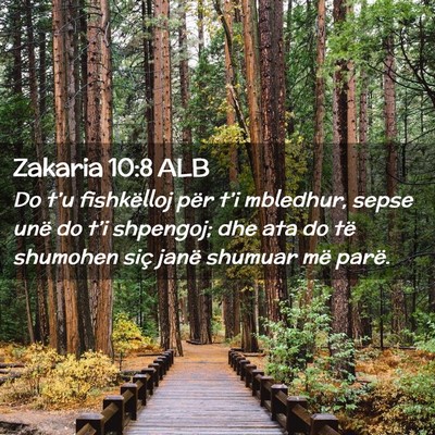 Picture 02 - Zakaria 10:8 ALB - Do t’u fishkëlloj për t’i mbledhur, sepse - Bible Verse Picture
