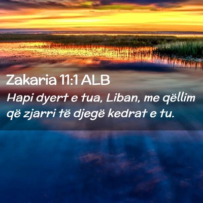 Picture 02 - Zakaria 11:1 ALB - Hapi dyert e tua, Liban, me qëllim që zjarri - Bible Verse Picture