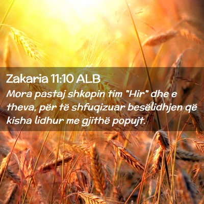 Picture 02 - Zakaria 11:10 ALB - Mora pastaj shkopin tim 