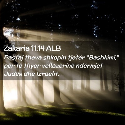 Picture 02 - Zakaria 11:14 ALB - Pastaj theva shkopin tjetër 