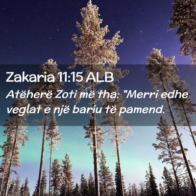 Picture 02 - Zakaria 11:15 ALB - Atëherë Zoti më tha: 