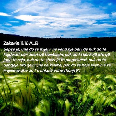 Picture 02 - Zakaria 11:16 ALB - Sepse ja, unë do të nxjerr në vend një bari - Bible Verse Picture