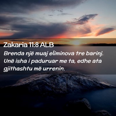 Picture 02 - Zakaria 11:8 ALB - Brenda një muaj eliminova tre barinj. Unë isha - Bible Verse Picture