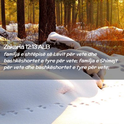 Picture 02 - Zakaria 12:13 ALB - familja e shtëpisë së Levit për vete dhe - Bible Verse Picture