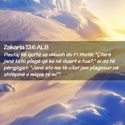 Picture 02 - Zakaria 13:6 ALB - Pastaj në qoftë se dikush do t’i thotë: - Bible Verse Picture