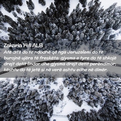 Picture 02 - Zakaria 14:8 ALB - Atë ditë do të ndodhë që nga Jeruzalemi do - Bible Verse Picture