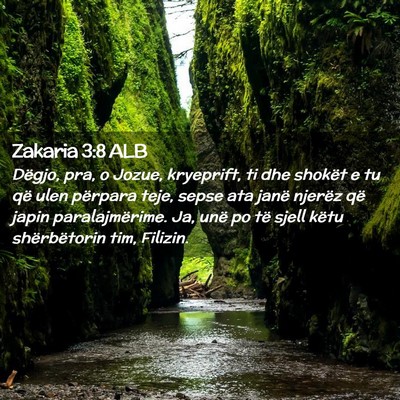Picture 02 - Zakaria 3:8 ALB - Dëgjo, pra, o Jozue, kryeprift, ti dhe shokët e - Bible Verse Picture