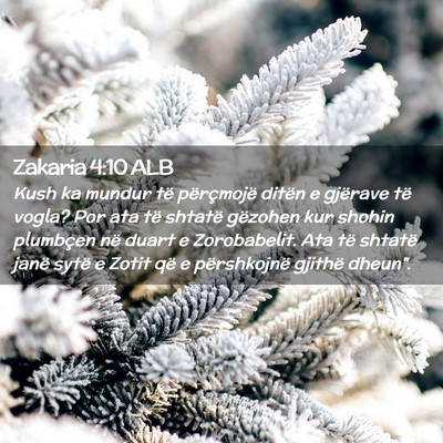 Picture 02 - Zakaria 4:10 ALB - Kush ka mundur të përçmojë ditën e gjërave - Bible Verse Picture