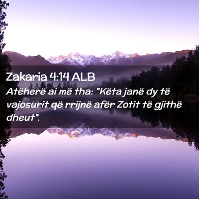 Picture 02 - Zakaria 4:14 ALB - Atëherë ai më tha: 