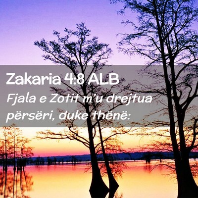 Picture 02 - Zakaria 4:8 ALB - Fjala e Zotit m’u drejtua përsëri, duke - Bible Verse Picture