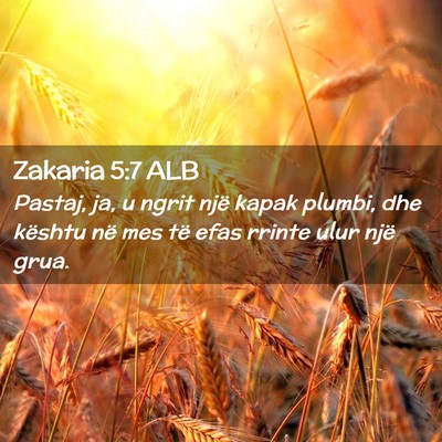 Picture 02 - Zakaria 5:7 ALB - Pastaj, ja, u ngrit një kapak plumbi, dhe - Bible Verse Picture