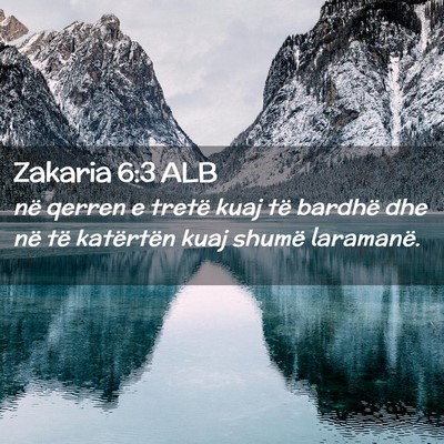 Picture 02 - Zakaria 6:3 ALB - në qerren e tretë kuaj të bardhë dhe në të - Bible Verse Picture