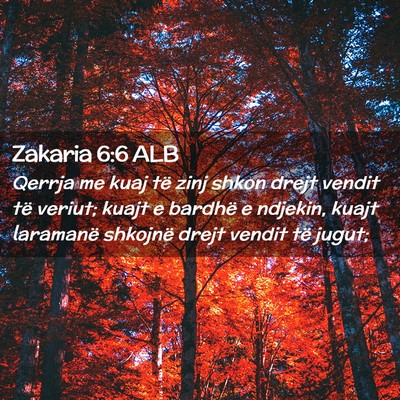 Picture 02 - Zakaria 6:6 ALB - Qerrja me kuaj të zinj shkon drejt vendit të - Bible Verse Picture