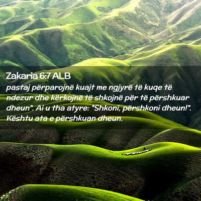 Picture 02 - Zakaria 6:7 ALB - pastaj përparojnë kuajt me ngjyrë të kuqe të - Bible Verse Picture