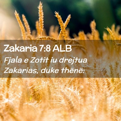 Picture 02 - Zakaria 7:8 ALB - Fjala e Zotit iu drejtua Zakarias, duke - Bible Verse Picture