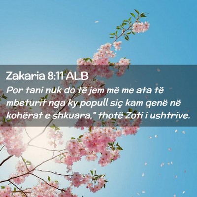 Picture 02 - Zakaria 8:11 ALB - Por tani nuk do të jem më me ata të mbeturit - Bible Verse Picture