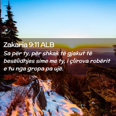 Picture 02 - Zakaria 9:11 ALB - Sa për ty, për shkak të gjakut të - Bible Verse Picture