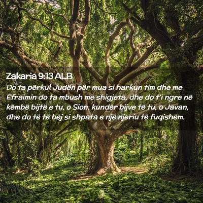 Picture 02 - Zakaria 9:13 ALB - Do ta përkul Judën për mua si harkun tim dhe - Bible Verse Picture