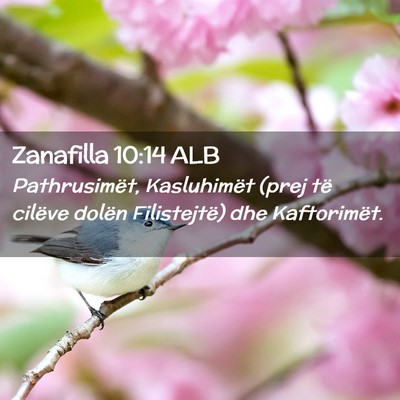 Picture 02 - Zanafilla 10:14 ALB - Pathrusimët, Kasluhimët (prej të cilëve - Bible Verse Picture