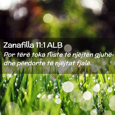 Picture 02 - Zanafilla 11:1 ALB - Por tërë toka fliste të njëjtën gjuhë dhe - Bible Verse Picture