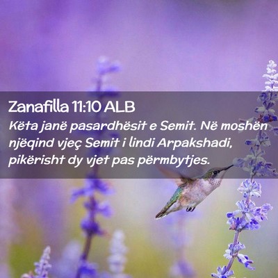 Picture 02 - Zanafilla 11:10 ALB - Këta janë pasardhësit e Semit. Në moshën - Bible Verse Picture