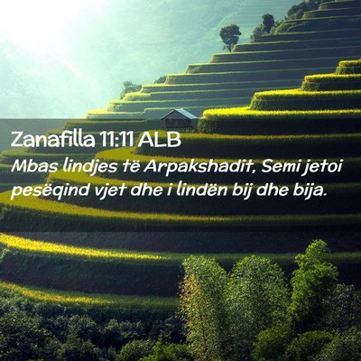 Picture 02 - Zanafilla 11:11 ALB - Mbas lindjes të Arpakshadit, Semi jetoi - Bible Verse Picture