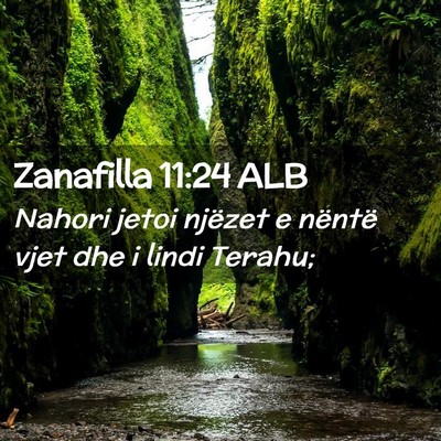 Picture 02 - Zanafilla 11:24 ALB - Nahori jetoi njëzet e nëntë vjet dhe i lindi - Bible Verse Picture