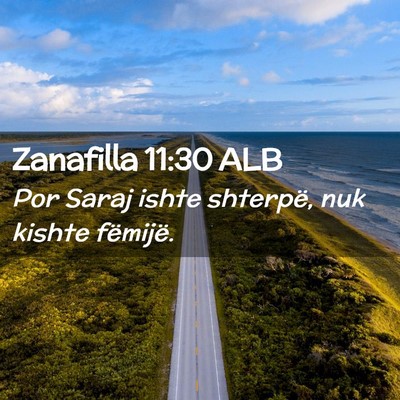 Picture 02 - Zanafilla 11:30 ALB - Por Saraj ishte shterpë, nuk kishte - Bible Verse Picture