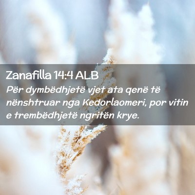 Picture 02 - Zanafilla 14:4 ALB - Për dymbëdhjetë vjet ata qenë të nënshtruar - Bible Verse Picture