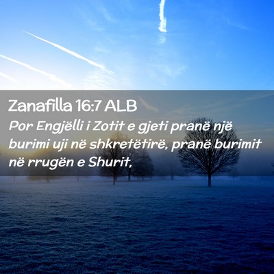 Picture 02 - Zanafilla 16:7 ALB - Por Engjëlli i Zotit e gjeti pranë një burimi - Bible Verse Picture