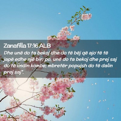 Picture 02 - Zanafilla 17:16 ALB - Dhe unë do ta bekoj dhe do të bëj që ajo të - Bible Verse Picture