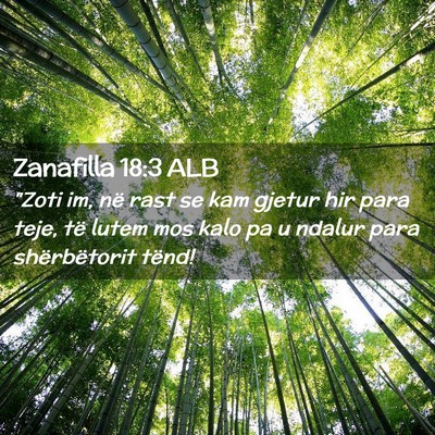 Picture 02 - Zanafilla 18:3 ALB - 