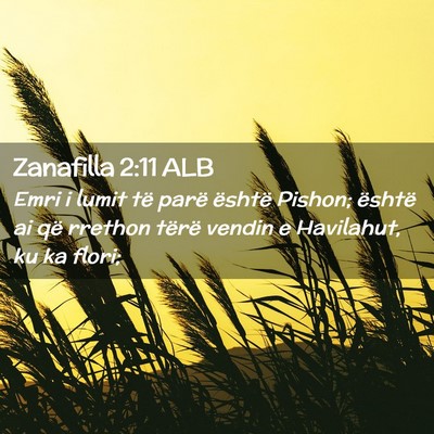 Picture 02 - Zanafilla 2:11 ALB - Emri i lumit të parë është Pishon; është ai - Bible Verse Picture