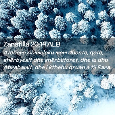 Picture 02 - Zanafilla 20:14 ALB - Atëherë Abimeleku mori dhentë, qetë, - Bible Verse Picture