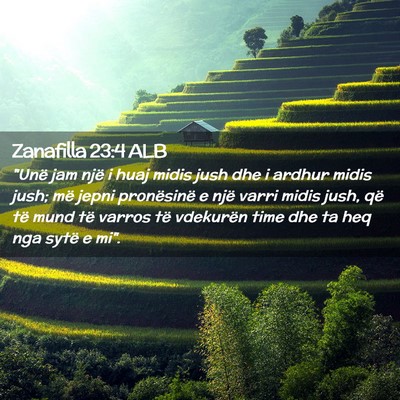Picture 02 - Zanafilla 23:4 ALB - 
