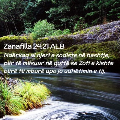 Picture 02 - Zanafilla 24:21 ALB - Ndërkaq ai njeri e sodiste në heshtje, për të - Bible Verse Picture