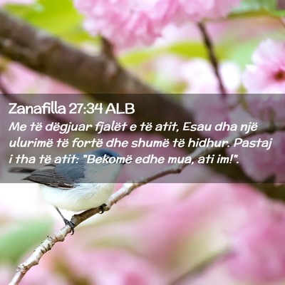 Picture 02 - Zanafilla 27:34 ALB - Me të dëgjuar fjalët e të atit, Esau dha një - Bible Verse Picture