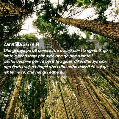 Picture 02 - Zanafilla 3:6 ALB - Dhe gruaja pa që pema ishte e mirë për t’u - Bible Verse Picture
