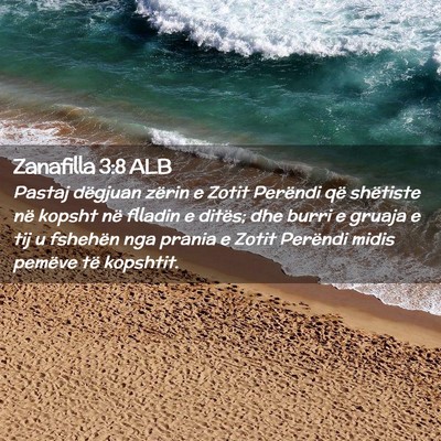 Picture 02 - Zanafilla 3:8 ALB - Pastaj dëgjuan zërin e Zotit Perëndi që - Bible Verse Picture