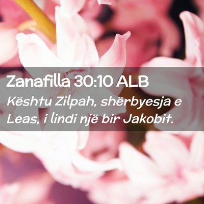 Picture 02 - Zanafilla 30:10 ALB - Kështu Zilpah, shërbyesja e Leas, i lindi një - Bible Verse Picture