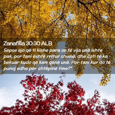 Picture 02 - Zanafilla 30:30 ALB - Sepse ajo që ti kishe para se të vija unë - Bible Verse Picture