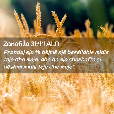 Picture 02 - Zanafilla 31:44 ALB - Prandaj eja të bëjmë një besëlidhie midis - Bible Verse Picture