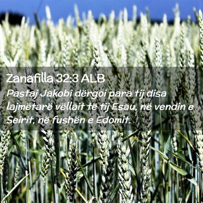 Picture 02 - Zanafilla 32:3 ALB - Pastaj Jakobi dërgoi para tij disa lajmëtarë - Bible Verse Picture