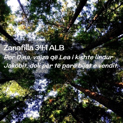 Picture 02 - Zanafilla 34:1 ALB - Por Dina, vajza që Lea i kishte lindur Jakobit, - Bible Verse Picture