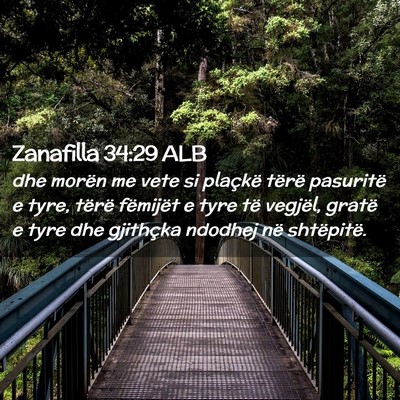 Picture 02 - Zanafilla 34:29 ALB - dhe morën me vete si plaçkë tërë pasuritë e - Bible Verse Picture